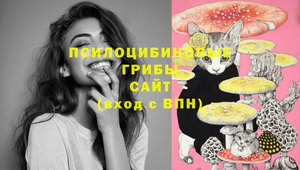 COCAINE Бородино