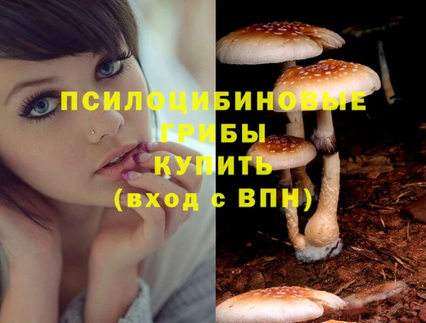 мет Кодинск