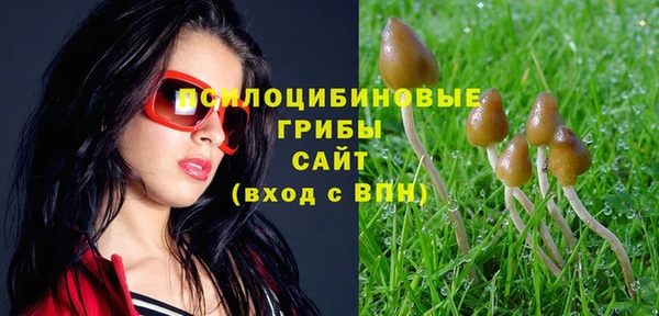 COCAINE Бородино
